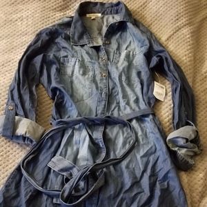 Jean dress